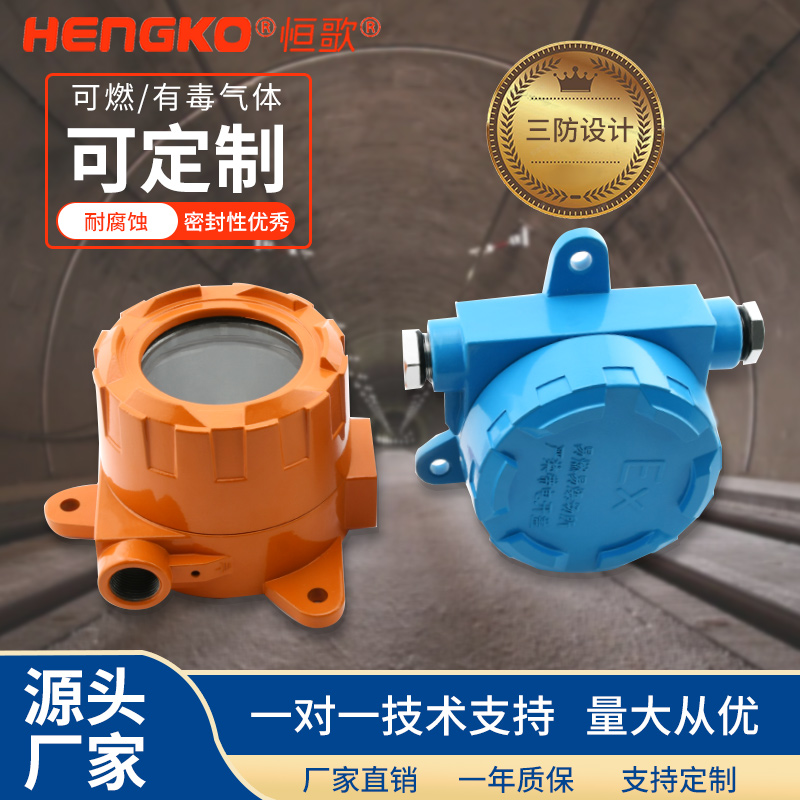 H2S硫化氫電化學(xué)有毒氣體傳感器探測器帶防爆不銹鋼316L傳感器外殼 Featured Image