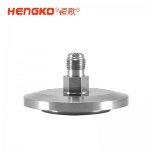 微電子半導體晶圓制程工藝氣體過濾終端 316L 外殼快速進氣擴散器