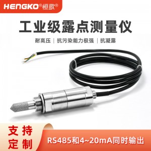 工業(yè)露點(diǎn)傳感器_恒歌 ±2%RH高精度天然氣管道工業(yè)露點(diǎn)儀